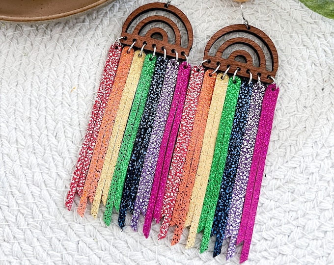Rainbow Fringe Earrings