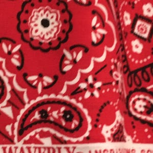 May include: Red fabric with a white and black paisley pattern. The fabric has the text "WAVERLY&reg; INSPIRED SC" printed on the bottom edge.