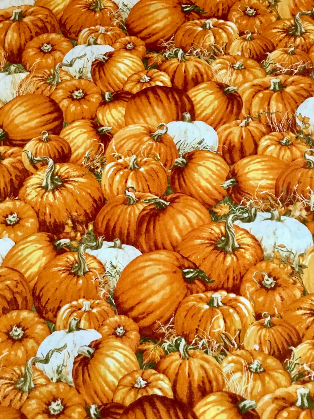 Timeless Treasures - Packed Pumpkins - Cotton Fabric 1/2 Yd - Etsy