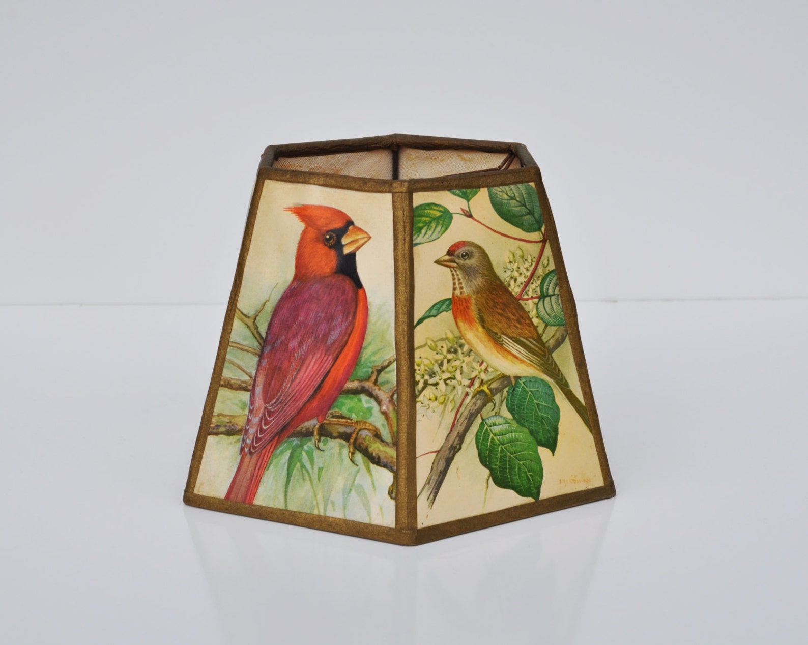 Vintage Lamp Shade Ph Gonner Bird Prints Mid Century Six Etsy