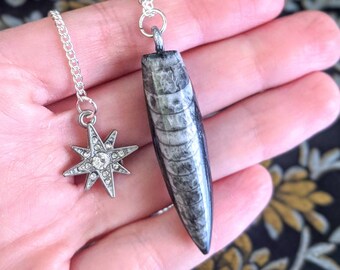 Orthoceras and Sodalite Necklace Unique Fossil Necklace