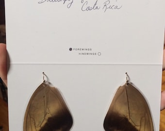 Reversible Earrings: REAL Costa Rican butterfly wings!