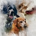 see more listings in the Pet Portrait section