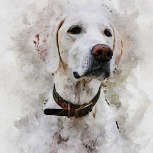 Aquarel huisdier portret schilderij, gepersonaliseerd huisdier portret, huisdier illustratie, aangepaste hondenportret tekening, huisdier Memorial cadeau, huisdier Loss_Art