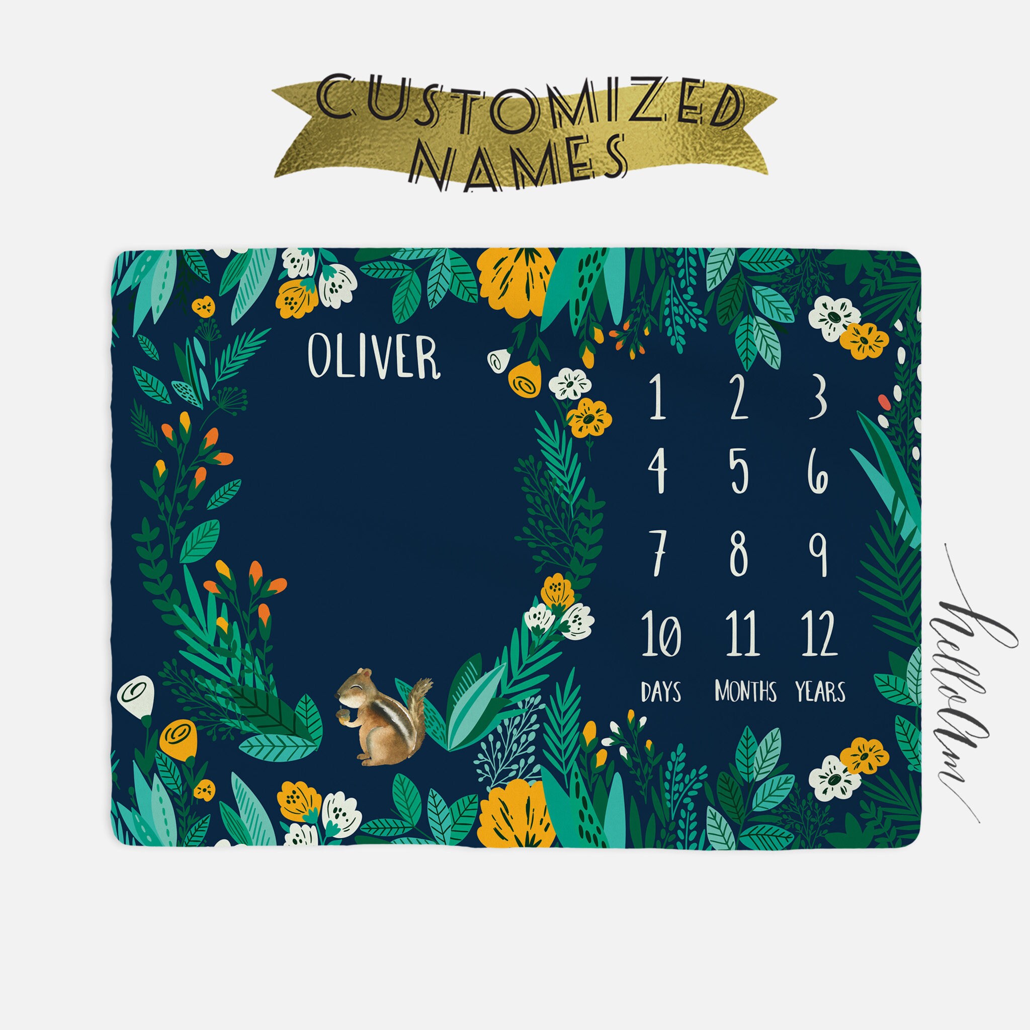 Twin Blossom Baby Month Milestone Blanket - Pipsy