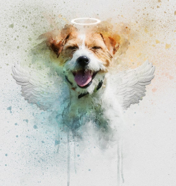 Dog halo sale