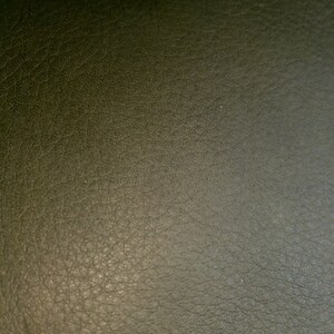 May include: Close-up of a textured, dark green leather surface.