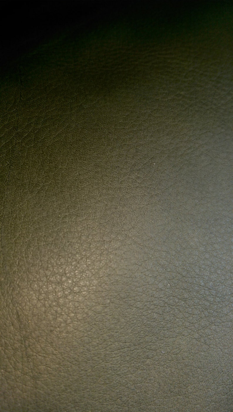 May include: Close-up of a textured, dark green leather surface.