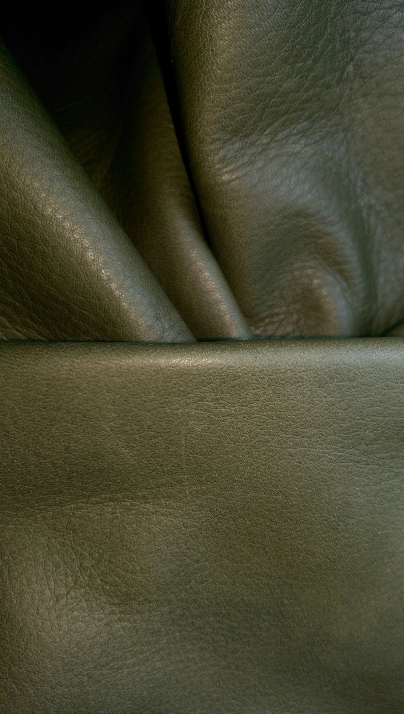 May include: Close-up of a dark green leather fabric with a textured surface. The fabric is folded and draped, showing the texture and folds.