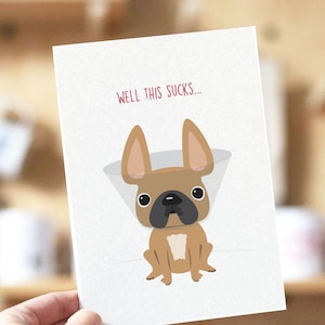 Carta del Cono della Vergogna francese, Guarisci presto carta, Cane guarisci presto carta, Carta simpatia cane, Carta Bulldog francese carina, Carina carte francesi immagine 1