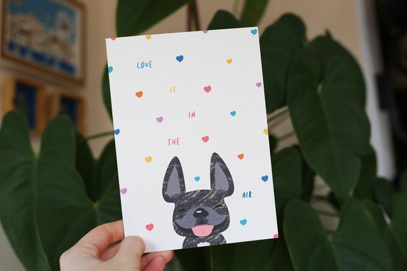 Love Is In The Air Valentine S Day Card French Bulldog Etsy