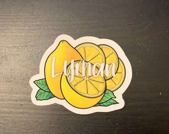 Lemon Lyman Sticker, West Wing inspired stickers, Joshua Lyman, Fan Site