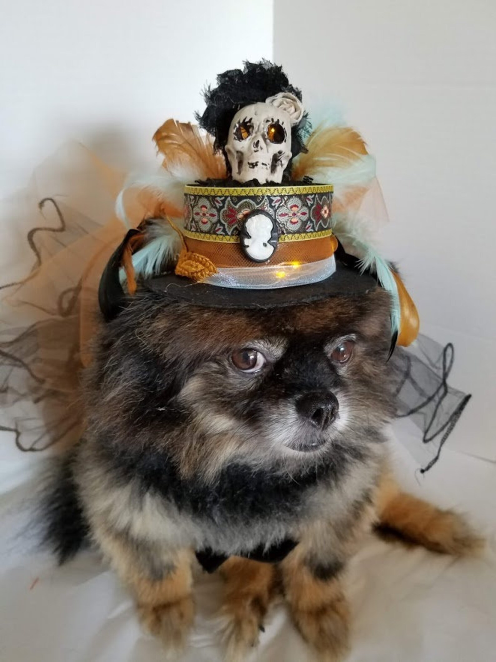 Hundehut Hut für Hunde oder Katzen beleuchtete Mütze für Etsy