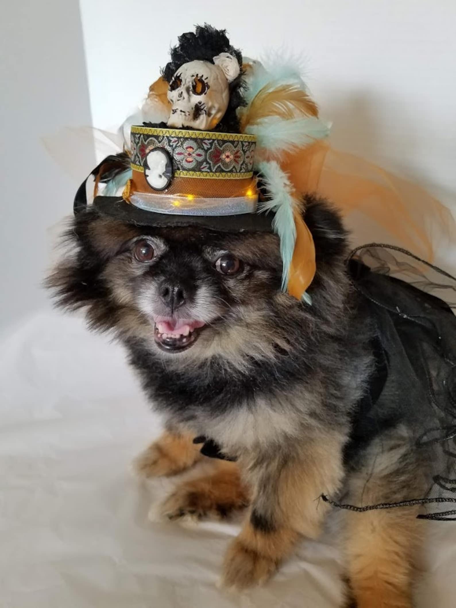 Hundehut Hut für Hunde oder Katzen beleuchtete Mütze für Etsy