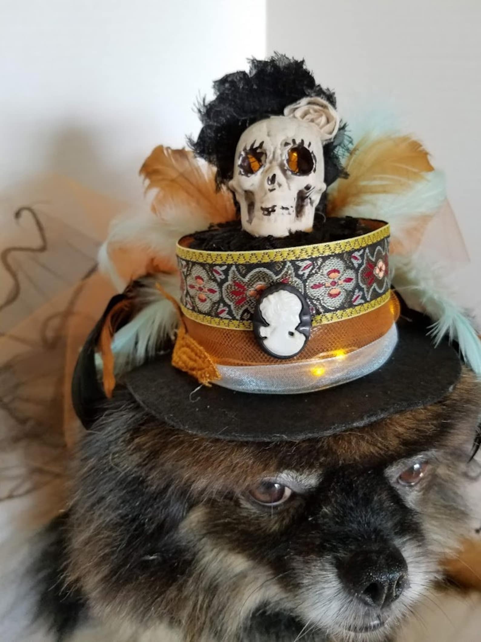 Hundehut Hut für Hunde oder Katzen beleuchtete Mütze für Etsy