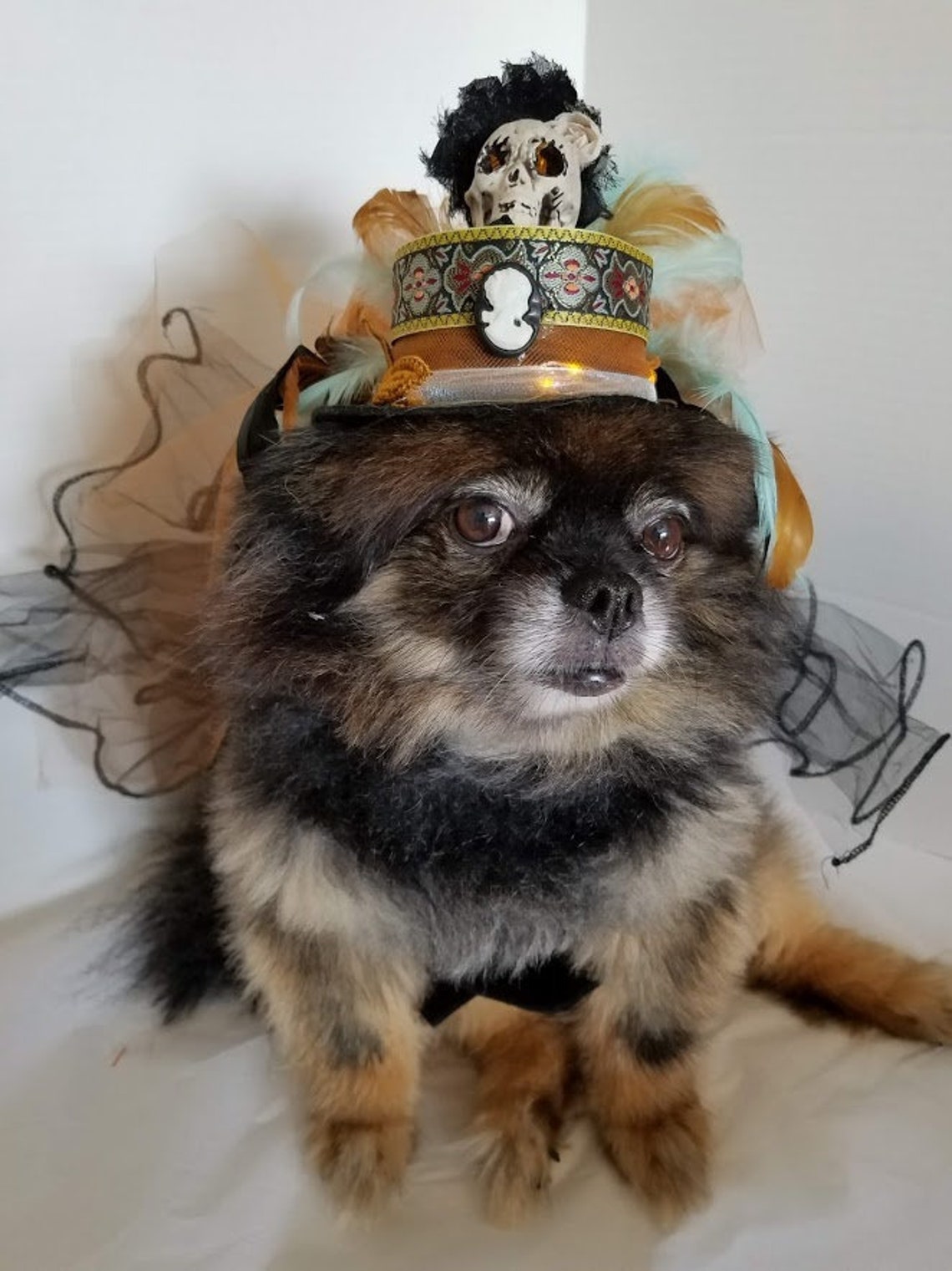 Hundehut Hut für Hunde oder Katzen beleuchtete Mütze für Etsy