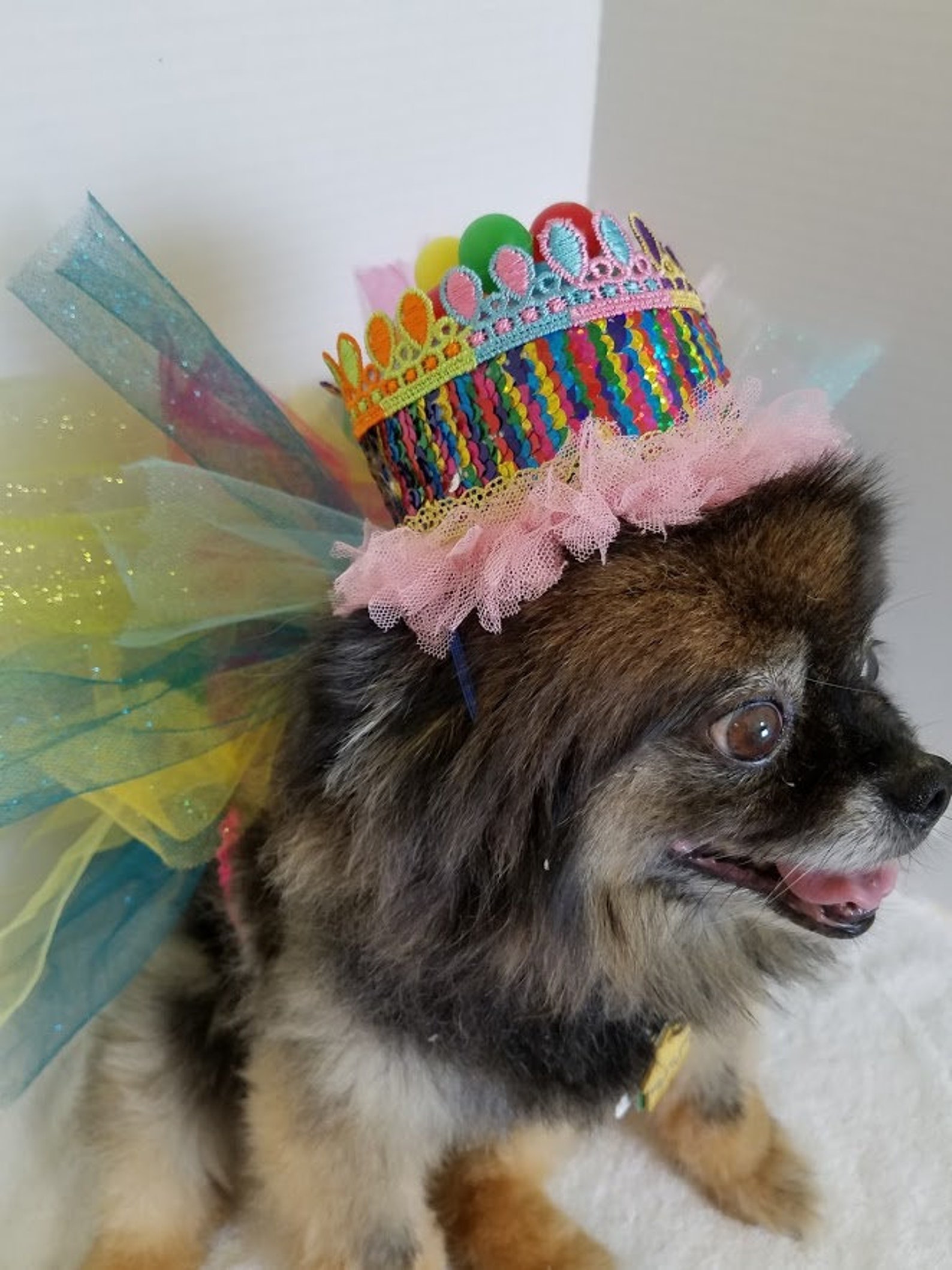 Dog Birthday Outfit Dog Birthday Hat Dog Birthday Etsy