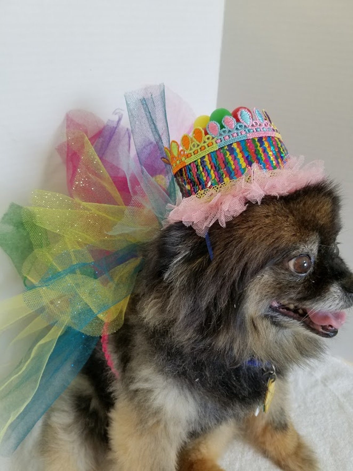 Dog Birthday Outfit Dog Birthday Hat Dog Birthday Etsy