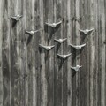 Wall decoration "Large flock of birds"-  8 White ceramic birds - home decor