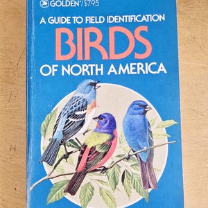 1983 Birds of North America Field Guide, Golden Nature Book, Birdwatching Reference