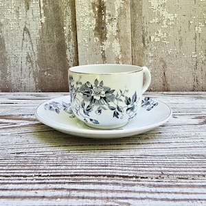 May include: A white ceramic teacup and matching saucer featuring a detailed black floral pattern. The teacup has a rounded handle and a thin gold rim along the top edge. The saucer displays the same black botanical design around its perimeter.