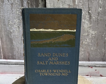 Libro antiguo de 1913 sobre dunas de arena y marismas, Ornitología costera