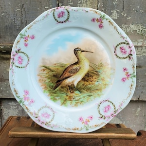 Vintage Porcelain Bird Plate, Bavarian Collectible Bird Plate, Shabby Chic Decor  Nature Lovers Gift