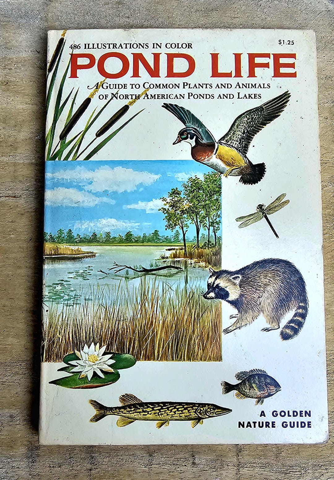 Old Nature Guide Vintage 1960s Pond Life Golden Nature Guide Illustrated Field Guide to ...
