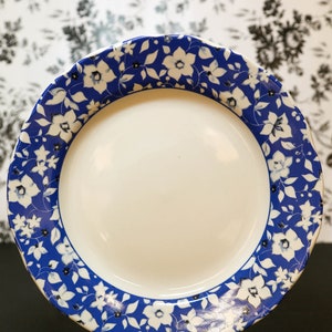 Salad/Dessert Plate Blue Meadow (Scalloped) by PFALTZGRAFF Set of 3