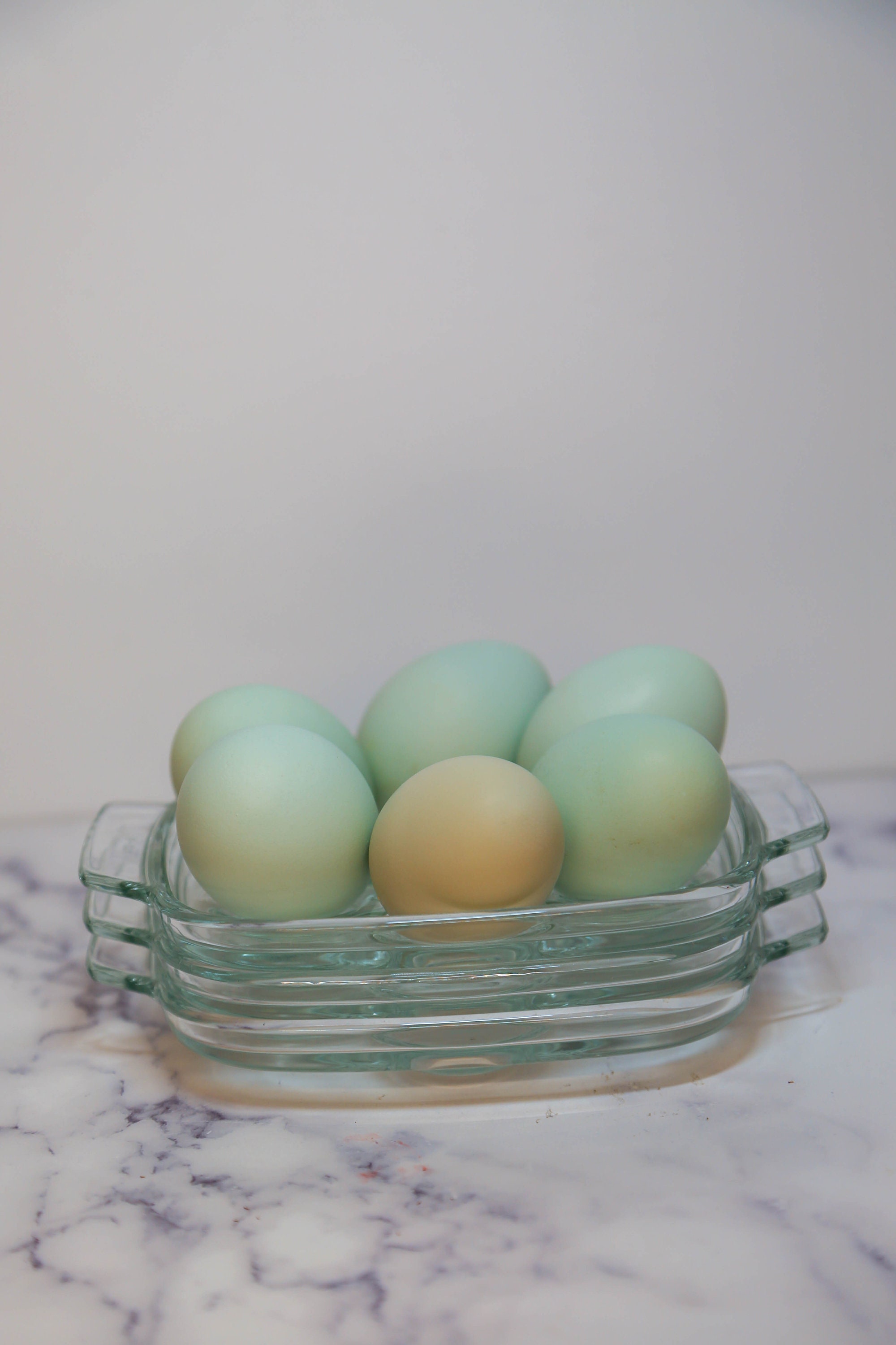 Lot De 10 Assiettes à Escargots Pyrex France - Vintage - Verre Transparent