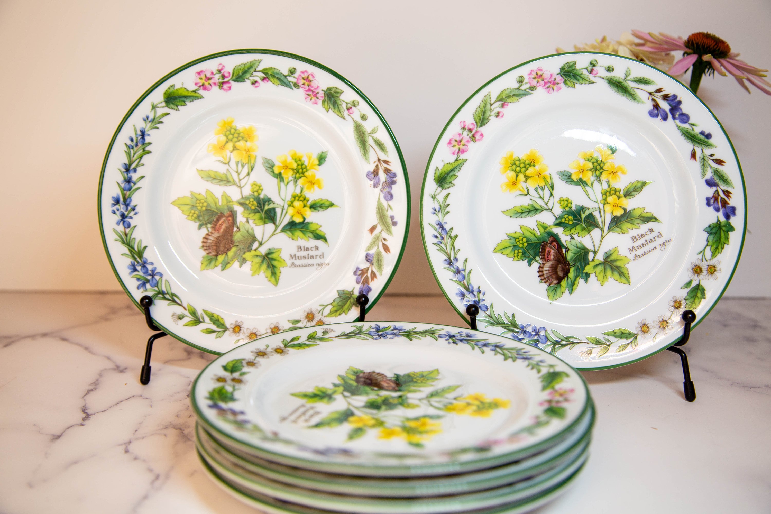 Worcester herbs - Etsy 日本