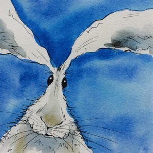 Hare print - hare, limited edition print, square print