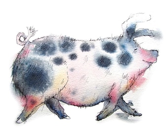 Pig limited edition print - Tilly the pig, pig print, pig picture, Gloucester Old Spot print
