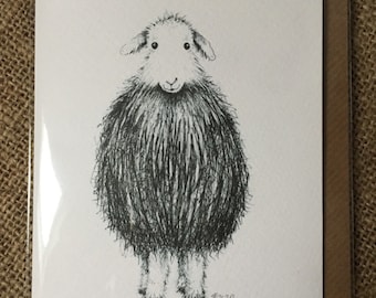 Herdwick sheep greetings card, sheep card