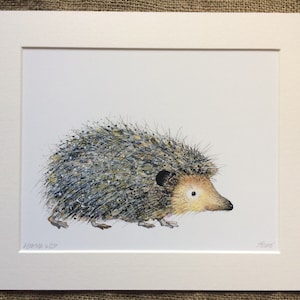 Hedgehog print, limited edition print, hedgehog art