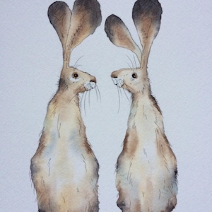 Hare card, hare greetings card, hare pair greetings card