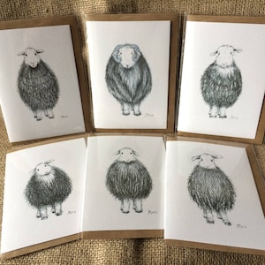 Lot de six cartes de vœux mixtes moutons Herdwick, cartes Herdwick, cartes moutons