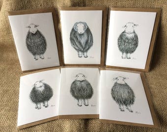Pack of six mixed Herdwick sheep greetings cards, Herdwick cards, sheep cards