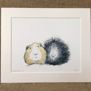 Guinea pigs limited edition print, Guinea pig print