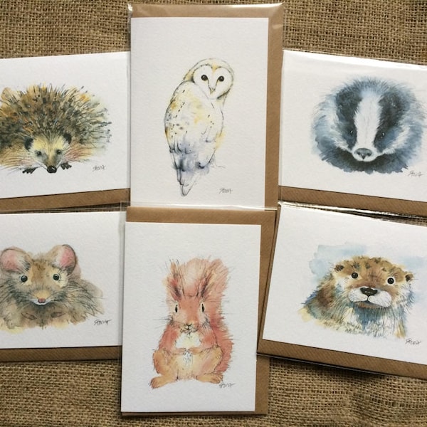 Pack of six mixed British wildlife greetings cards, wildlife cards, animal cards