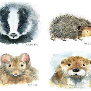 May include: Watercolour illustration of four animals: a badger, a hedgehog, a mouse, and an otter. The animals are painted in a realistic style with soft, muted colours.