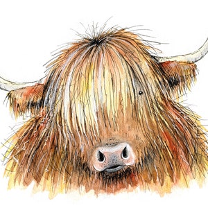 Highland cow print, limited edition print, cow print