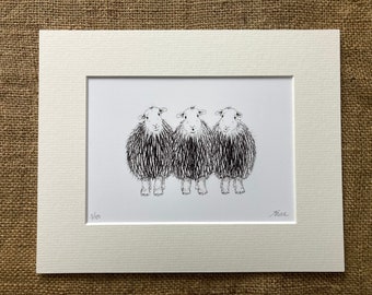 Herdwick limited edition print - Three Herdwick sheep, front view, sheep print, Herdwick print