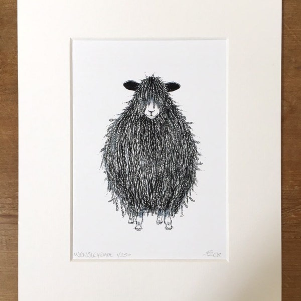 Wensleydale sheep limited edition print - sheep print, Wensleydale print