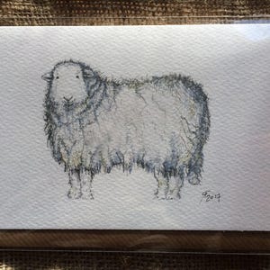 Może przedstawiać: Kartka okolicznościowa z akwarelową ilustracją owcy. Owca przedstawiona jest w odcieniach szarości i bieli, z puszystym futrem i spokojnym wyrazem twarzy. Karta jest zamknięta w przezroczystej plastikowej osłonie.