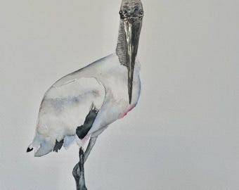Wood Stork, coastal bird art