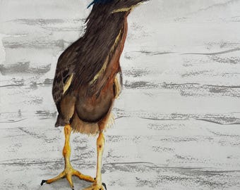 Heron painting, Green heron art, beach house art, shore birds art, bird lover gift