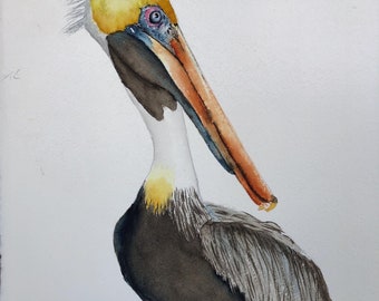 Pelican painting, coastal bird art, original watercolor