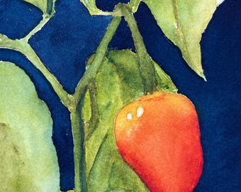 kitchen art,  original pepper painting