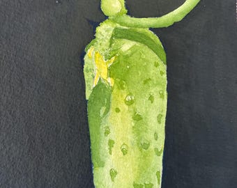 Kitchen art, vegetable painting, original watercolor 5 x 7